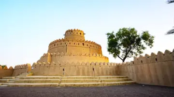 «الثقافة والسياحة – أبوظبي» تحتفي بمرور 15 عاماً على إدراج مواقع العين الثقافية في «اليونسكو»